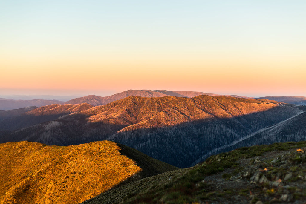 Feathertop Summit